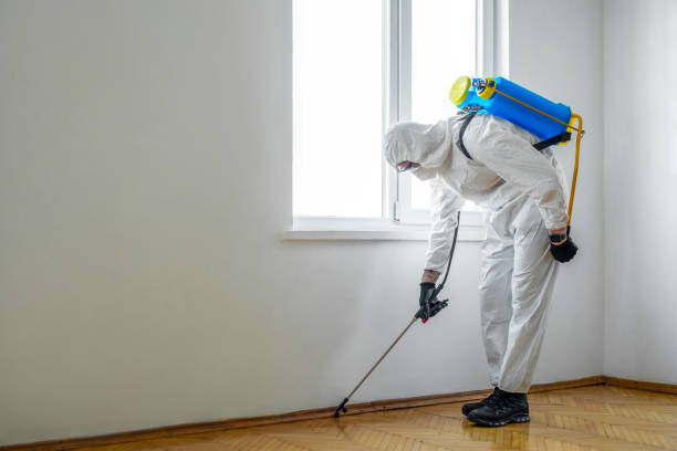 Best Flea Control Services  in Crawford, GA