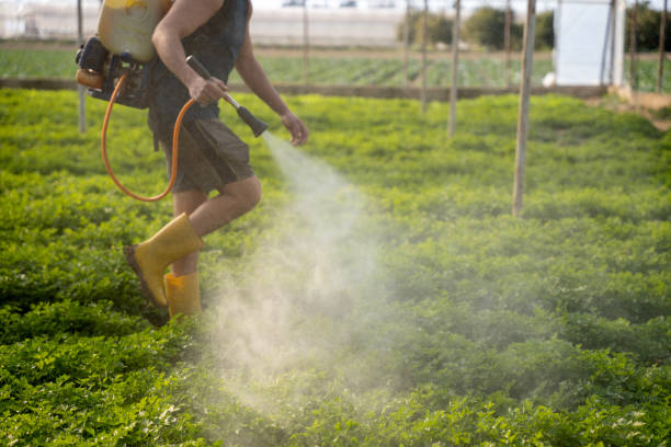 Best Ant Control Services  in Crawford, GA