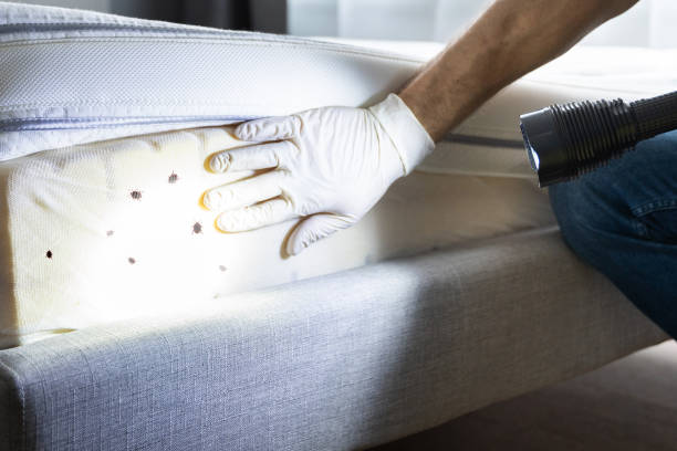 Best Wildlife Control Services  in Crawford, GA
