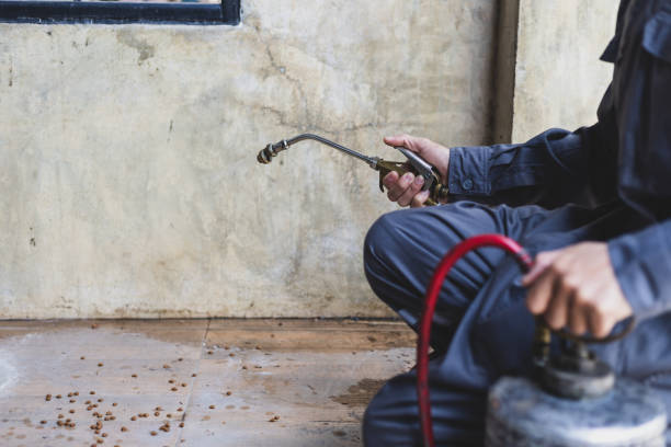 Best Affordable Pest Control Services  in Crawford, GA